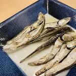 本格手打 もり家 - 食べるイリコ