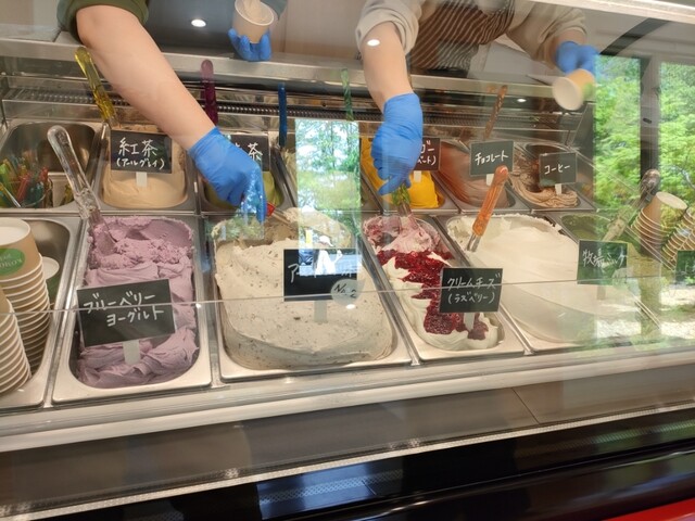 KOMOREBI gelato（コモレビジェラート） - 陸前白沢（ジェラート・アイスクリーム）の写真