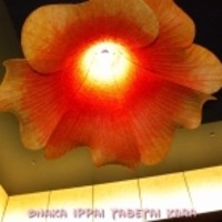 CANNA - 