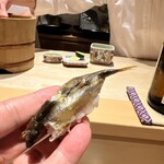 銀座 しのはら - 小鮎握り