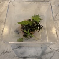 フレンチ串揚げ・炭焼き BEIGNET ASHIYA - 