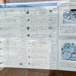 ラ・ペッシュ - 