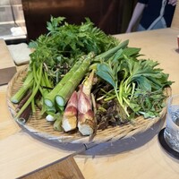 霜止出苗 - 
