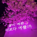 チヂミ・マッコリ専門店 月光酒店 - 