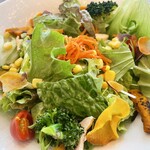 TRATTORIA PIZZERIA 207 渋谷店 - 