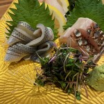 サカナキュイジーヌ・リョウ - こはだ　絶品