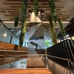 TRATTORIA PIZZERIA 207 - 