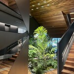 TRATTORIA PIZZERIA 207 - 