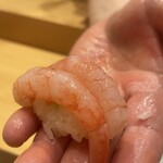 小松 弥助 - 甘エビ握り