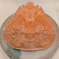 うぶか - 
