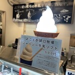 横須賀ジェラートファクトリー - 店舗カウンター