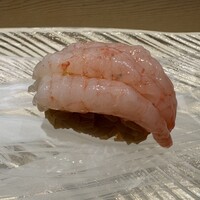 鮨 なかや - 甘海老（新潟）