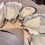 銀座で生牡蠣が美味しい専門店 牡蠣Bar - 