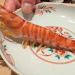 神田錦町 鮨たか晴 - 