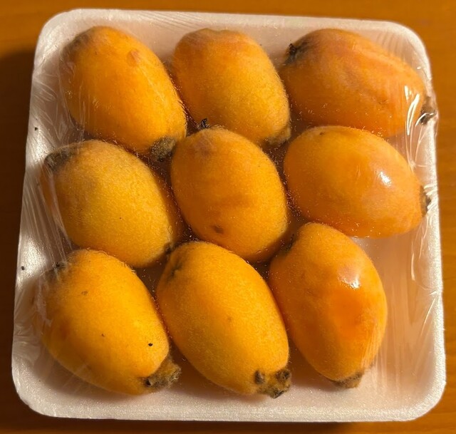 Fruit Garden As Time photo