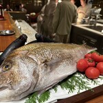 スガラボヴィー - 