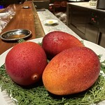 スガラボヴィー - 