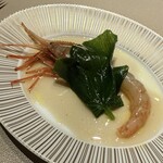 スガラボヴィー - 