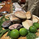 スガラボヴィー - 