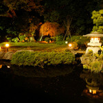 深大寺 水神苑 - 夜の日本庭園を眺めながら、ちょっと贅沢なひと時を。