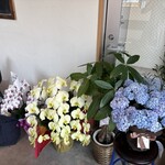 One dish & Espresso - 