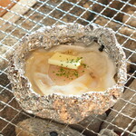 카키고야 카키쿠케코 - 가리비