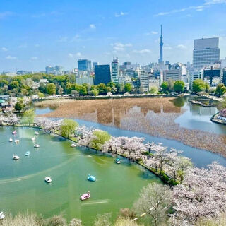 東京スカイツリー(R)と不忍池を一望できるレストラン