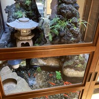 ぼたん - 