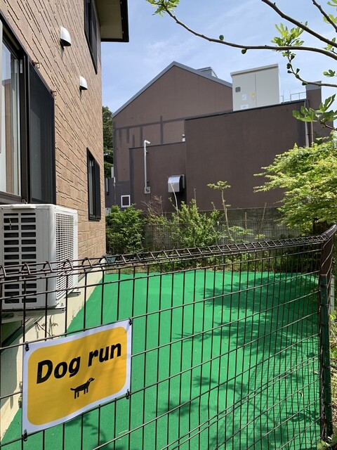 牡蠣将 - 松島（かき）の写真