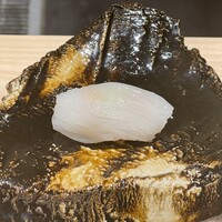 片岡篤司 - アオリイカ