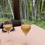 エルルカン・ビス - 