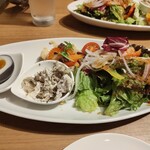 モトマチ ティモ - 