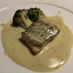 モトマチ ティモ - 