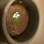 おやど 森の音 - 