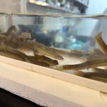 やまと屋 3号店 - 