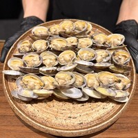 イル アオヤマ - ・愛知県 西浦半島産 浅利