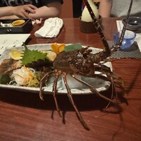 いけす 鶴八 名駅 はなれ - 