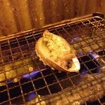 浜焼き酒場波平商店 - お通しはアワビ！(◎_◎