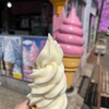 ひがしもこと芝桜公園売店