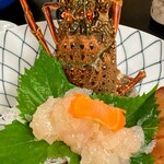 魚将　さかなちゃん - お造り