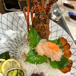 魚将　さかなちゃん - お造り