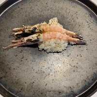 ヤマガタ サンダンデロ - 
