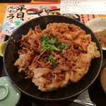 寿司 築地日本海 - かき揚げ丼
