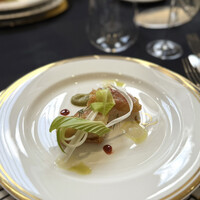 クイントカント - 