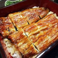 割烹蒲焼 横浜八十八 吉田町店 - うな重（関西風）