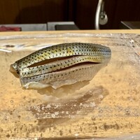 鮨　いの - 