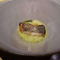 TTOAHISU - 