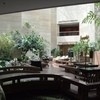 HILTON SHANGHAI  Lobby Pavilion - 内観写真: