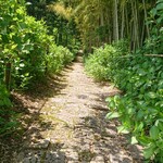 きじまラーメン - 