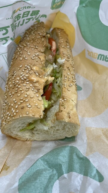 Subway Jo Chi Daigaku Ten photo 2